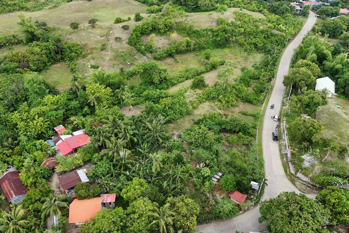 Land for Sale in Oceanova Beach & Golf Estate, Bancasan, San Remigio, Cebu – photo 2
