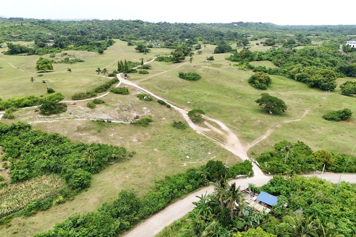 Land for Sale in Oceanova Beach & Golf Estate, Bancasan, San Remigio, Cebu – photo 2