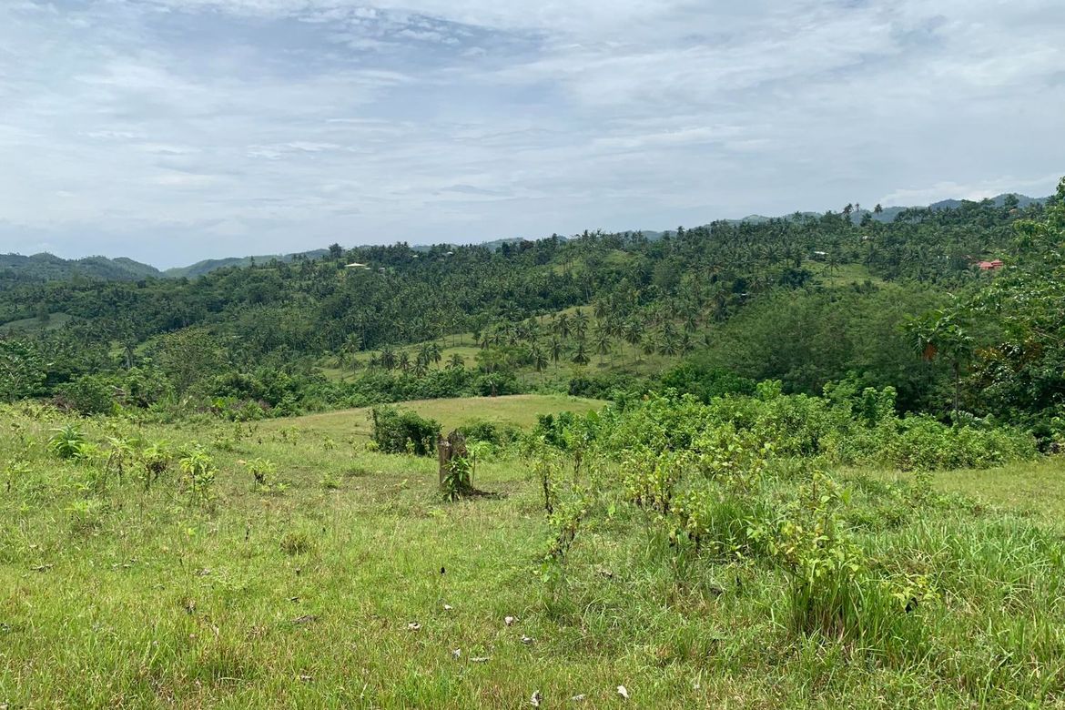 Land for Sale in Olango, Aloguinsan, Cebu