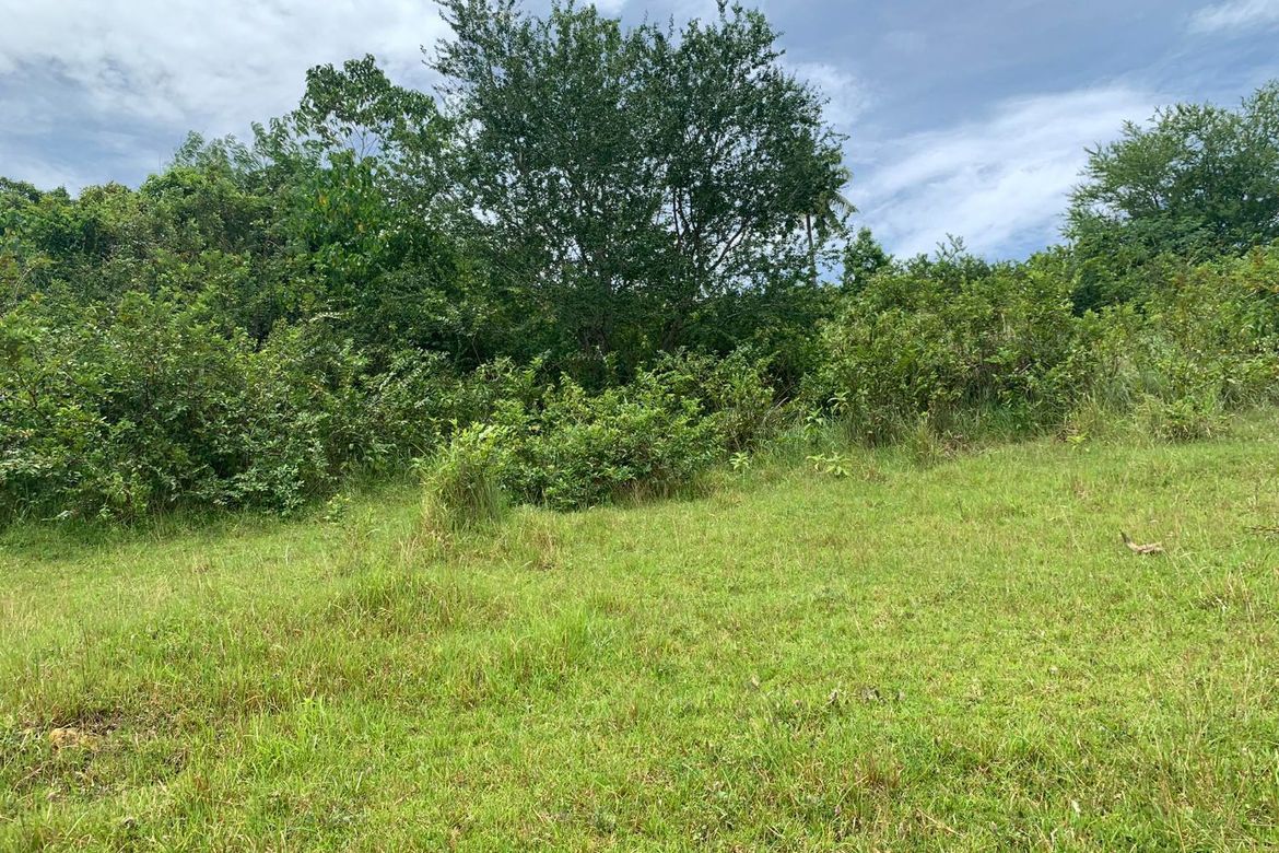Land for Sale in Olango, Aloguinsan, Cebu – photo 2