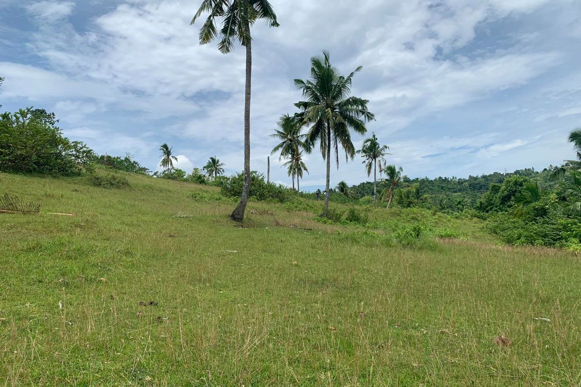 Land for Sale in Olango, Aloguinsan, Cebu – photo 3