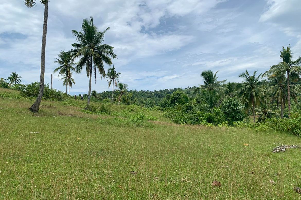 Land for Sale in Olango, Aloguinsan, Cebu – photo 4