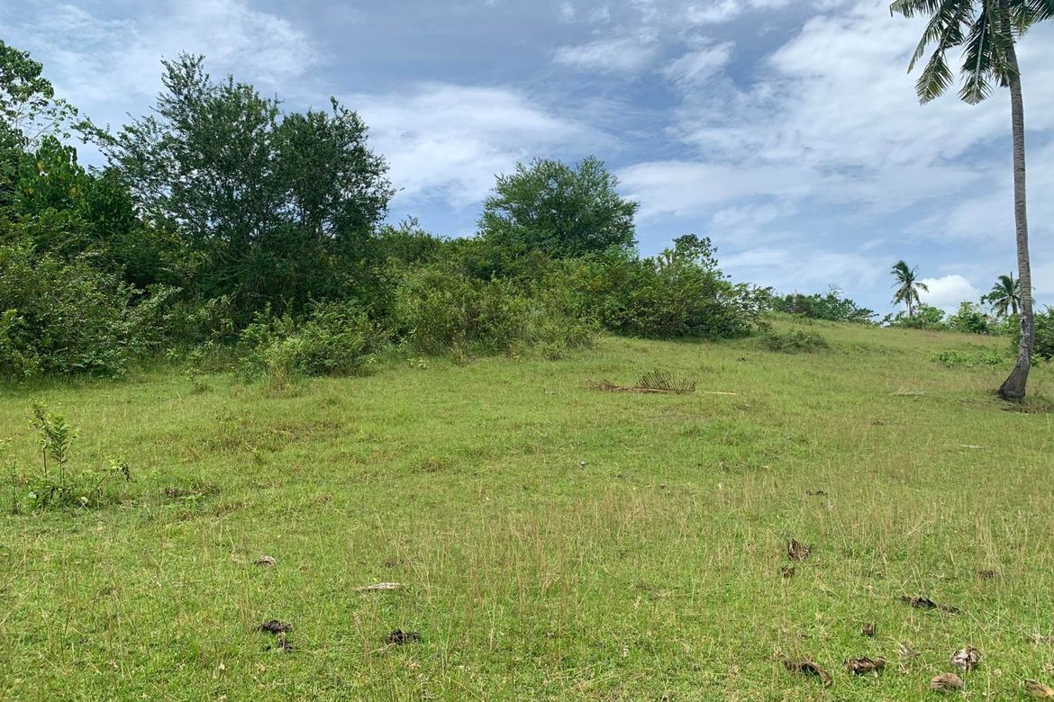 Land for Sale in Olango, Aloguinsan, Cebu – photo 8