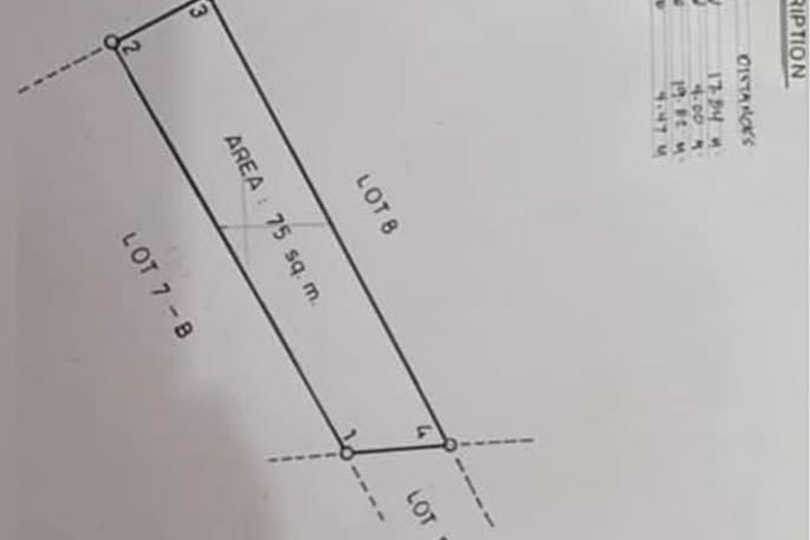 Land for Sale in Old Zañiga, Mandaluyong, Metro Manila – photo 4