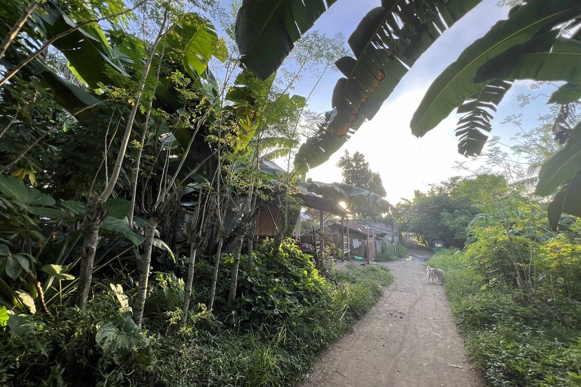 Land for Sale in Olingan, Dipolog, Zamboanga del Norte – photo 2