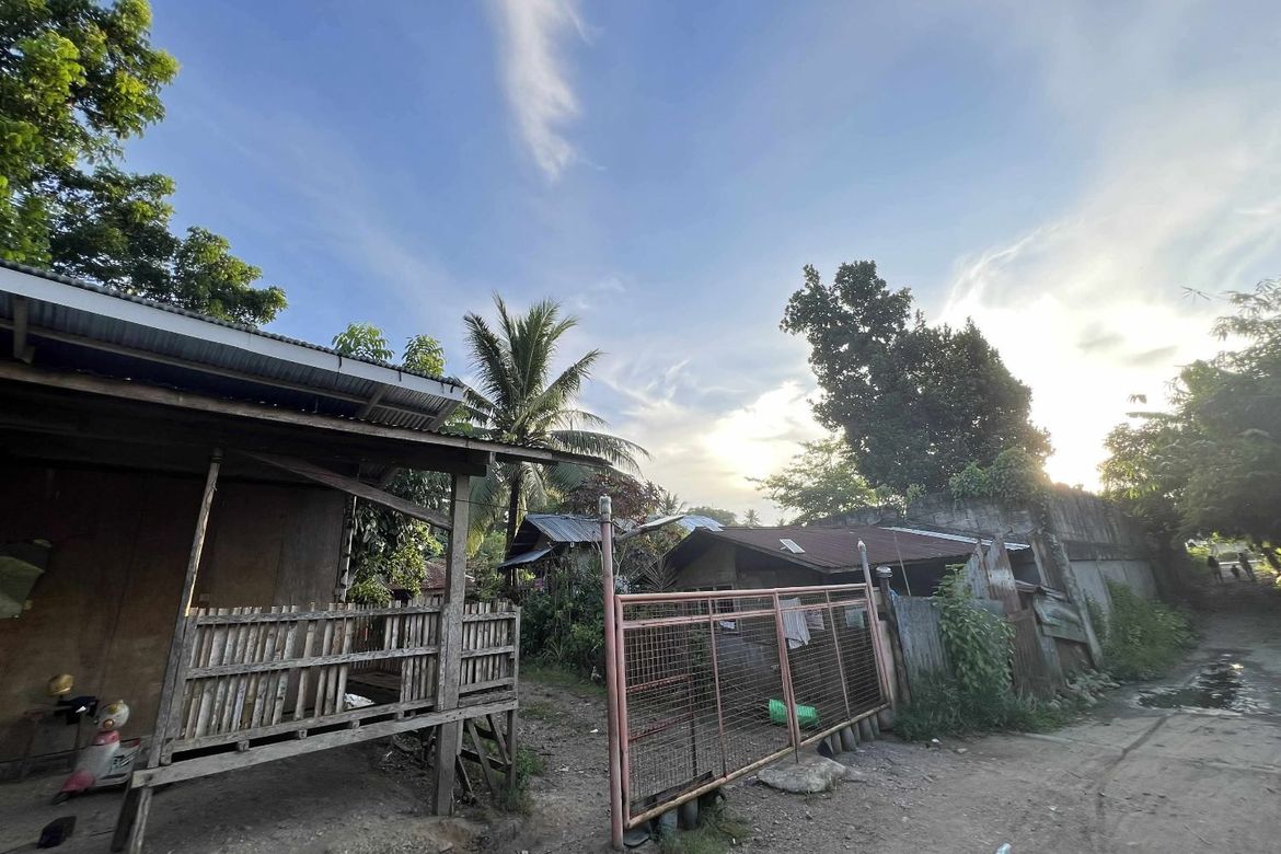Land for Sale in Olingan, Dipolog, Zamboanga del Norte – photo 3