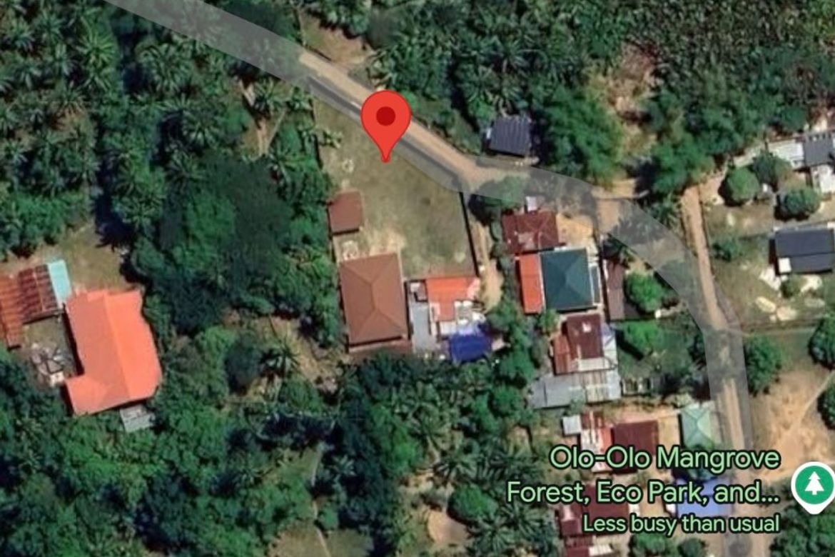 Land for Sale in Olo-Olo, Lobo, Batangas – photo 7