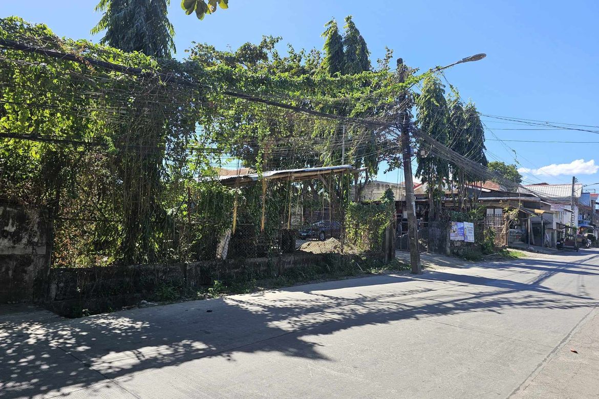 Land for Sale in Oñate de Leon, Iloilo City, Iloilo