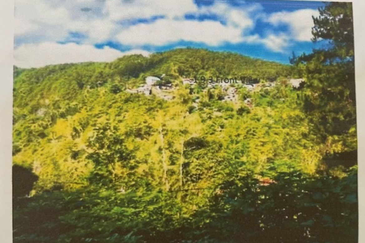 Land for Sale in Outlook Drive, Baguio, Benguet – photo 3