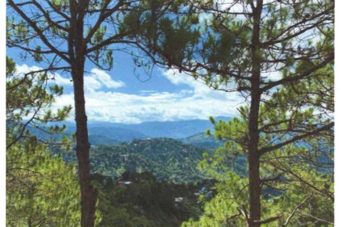 Land for Sale in Outlook Drive, Baguio, Benguet – photo 6