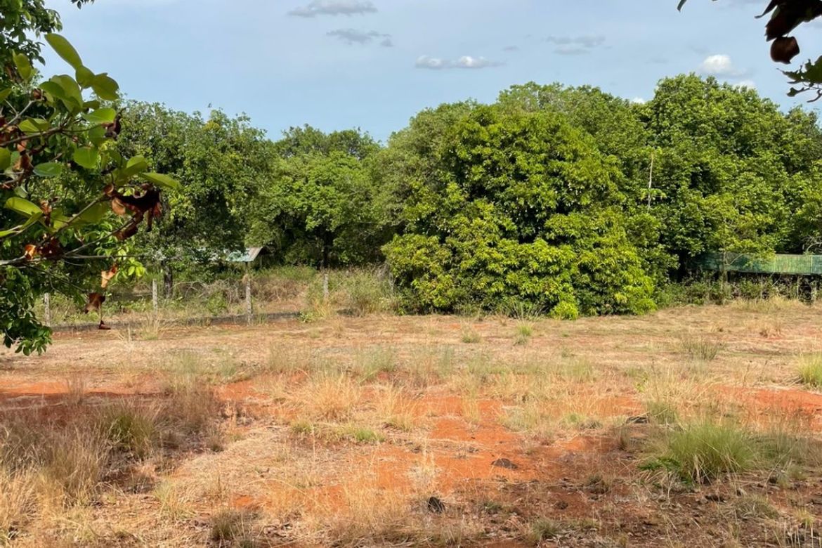 Land for Sale in Pacalat, Mangatarem, Pangasinan