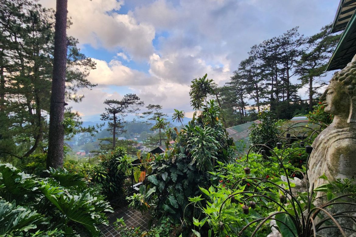Land for Sale in Pacdal, Baguio, Benguet – photo 3
