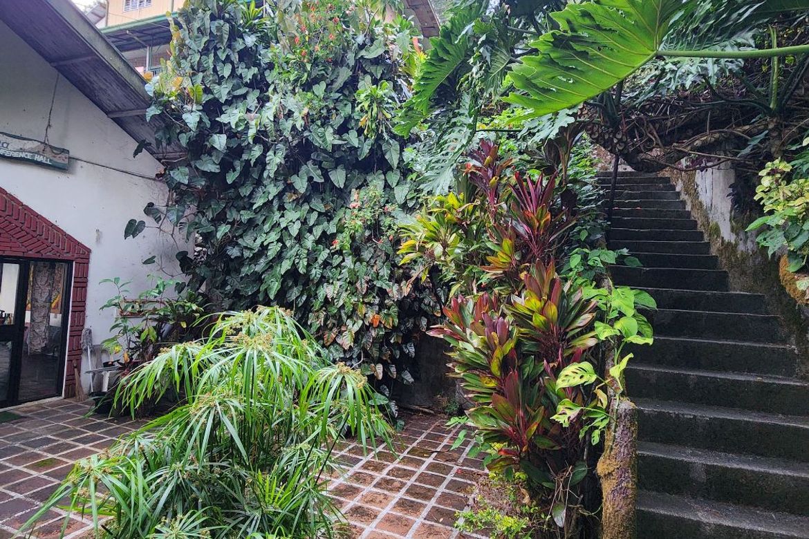 Land for Sale in Pacdal, Baguio, Benguet – photo 5