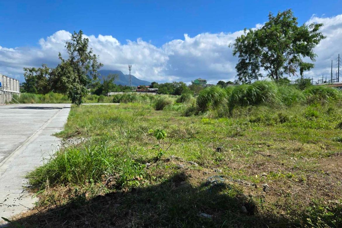 Land for Sale in Paciano Rizal, Calamba, Laguna – photo 3