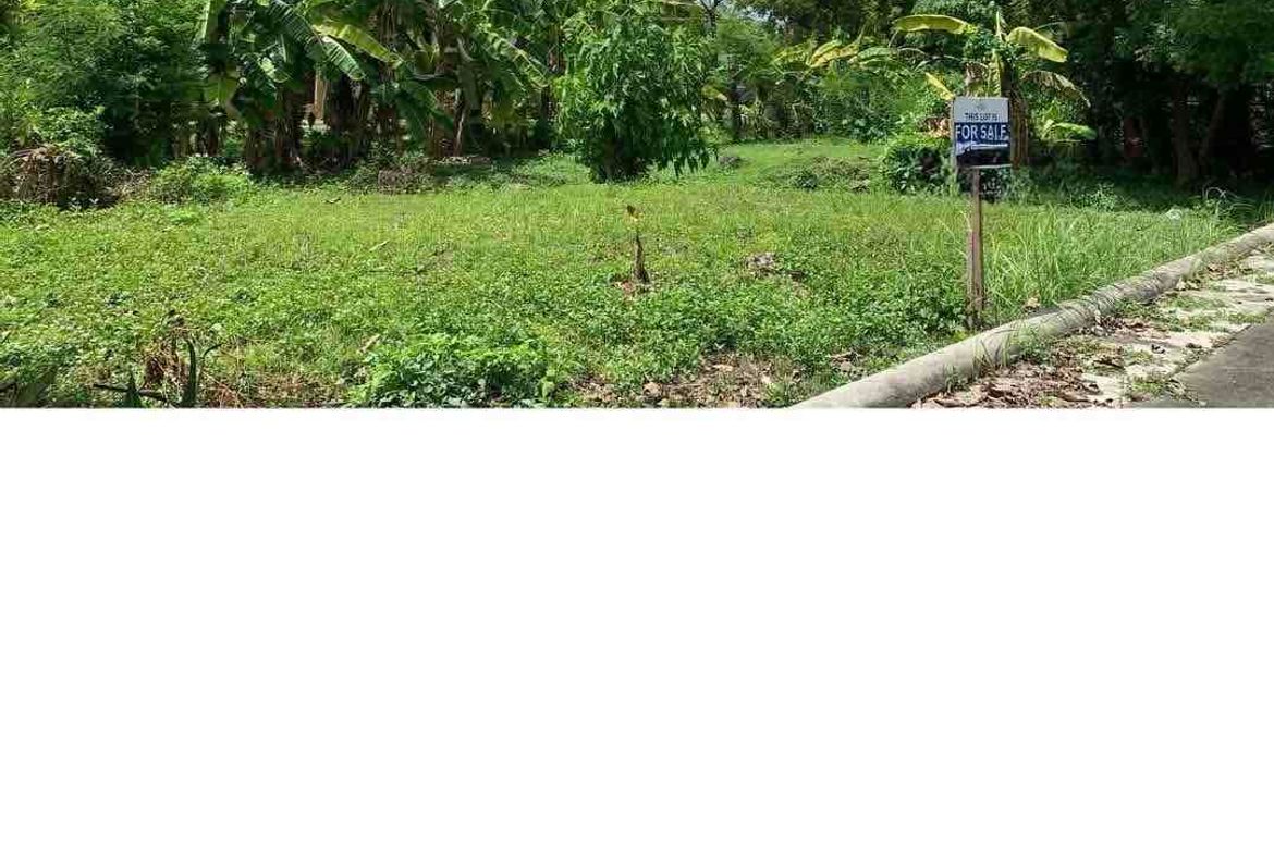 Land for Sale in Pacific Grand Villas, Agus, Lapu-Lapu, Cebu – photo 4