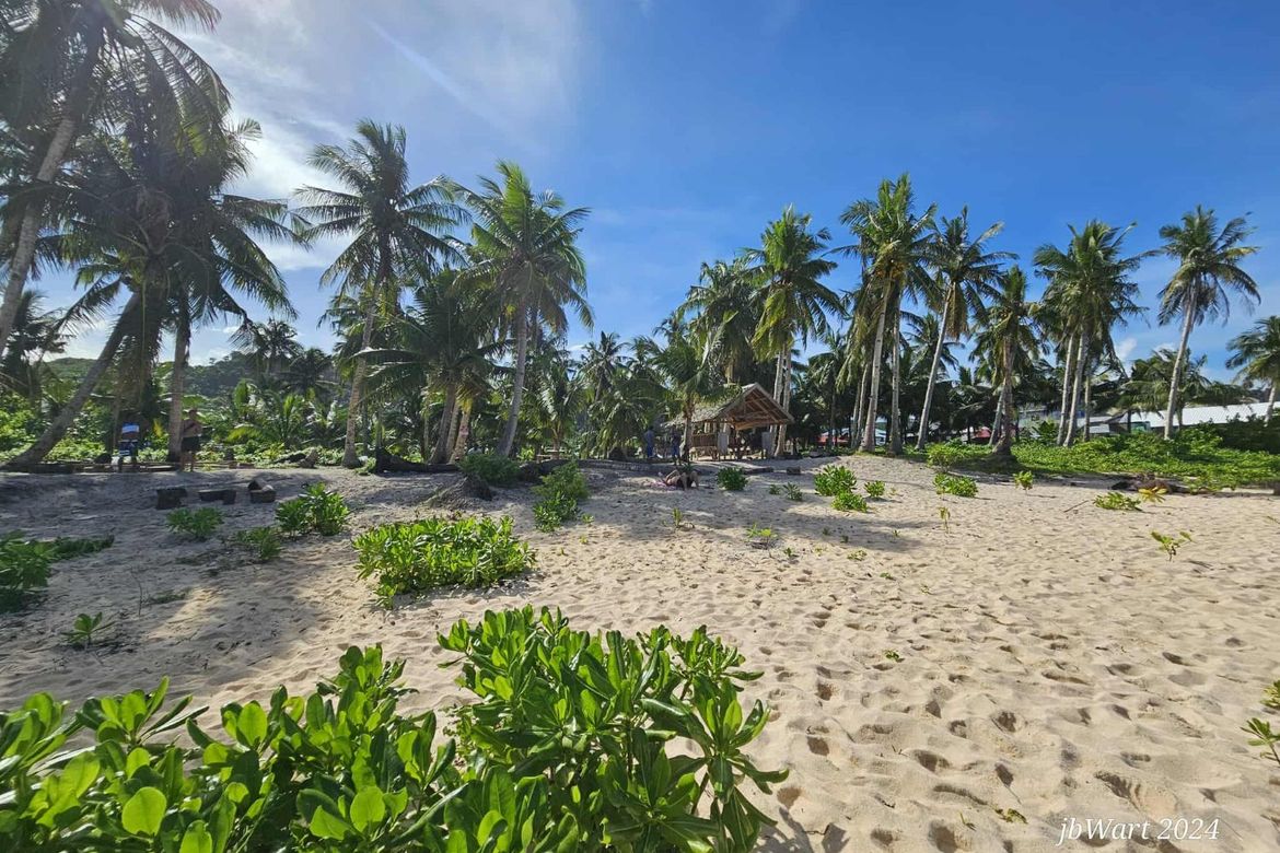 Land for Sale in Pacifico, San Isidro, Surigao del Norte – photo 4