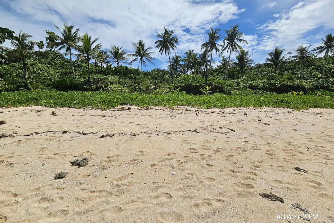 Land for Sale in Pacifico, San Isidro, Surigao del Norte – photo 5