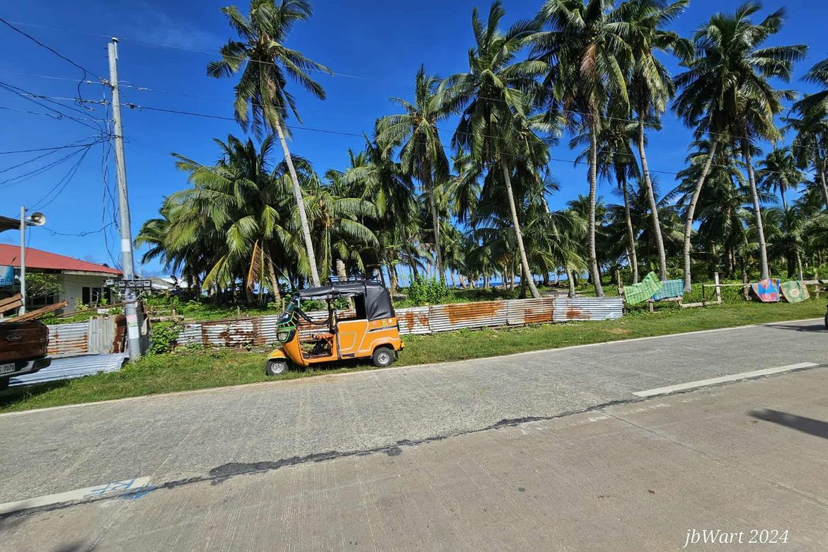Land for Sale in Pacifico, San Isidro, Surigao del Norte – photo 7