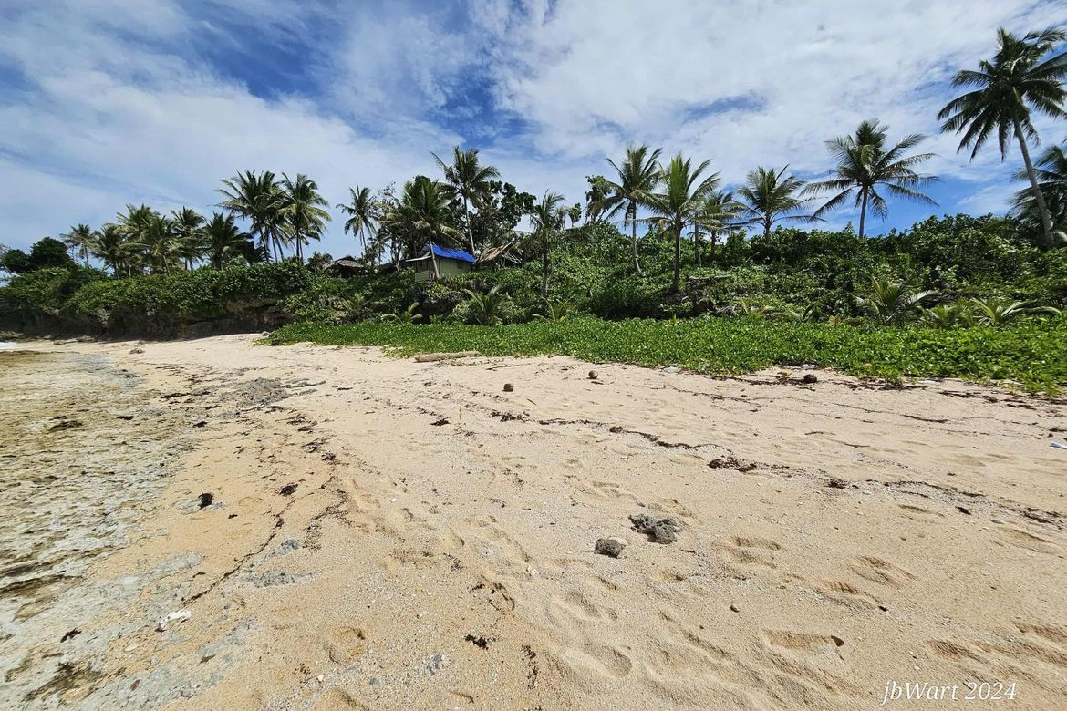 Land for Sale in Pacifico, San Isidro, Surigao del Norte – photo 4