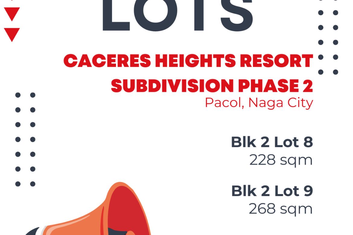 Land for Sale in Pacol, Naga, Camarines Sur – photo 4