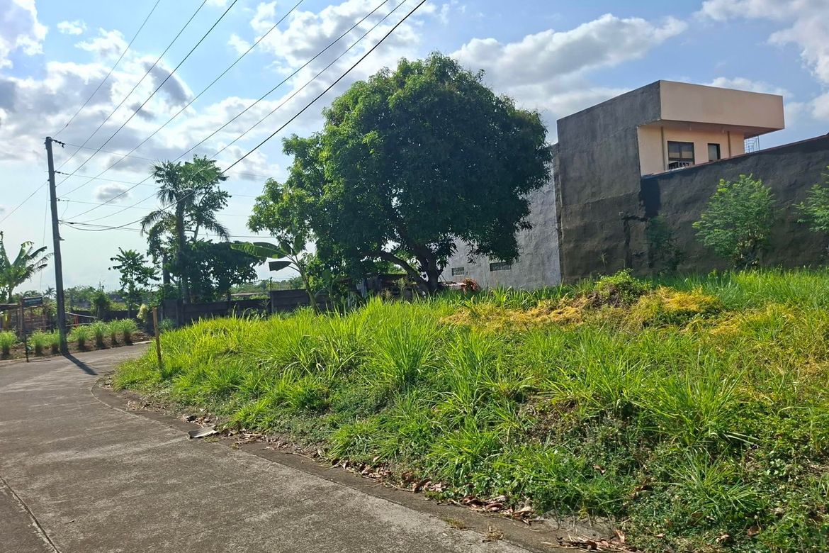 Land for Sale in Pacol, Naga, Camarines Sur