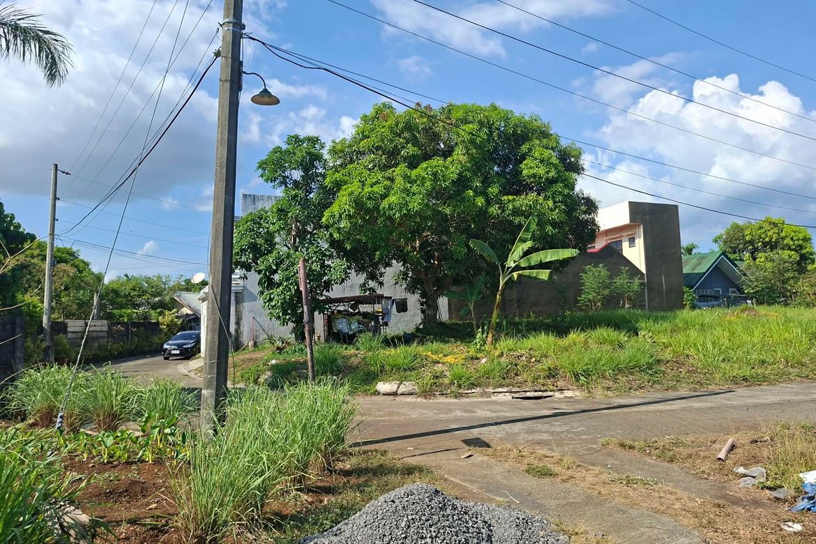 Land for Sale in Pacol, Naga, Camarines Sur – photo 2