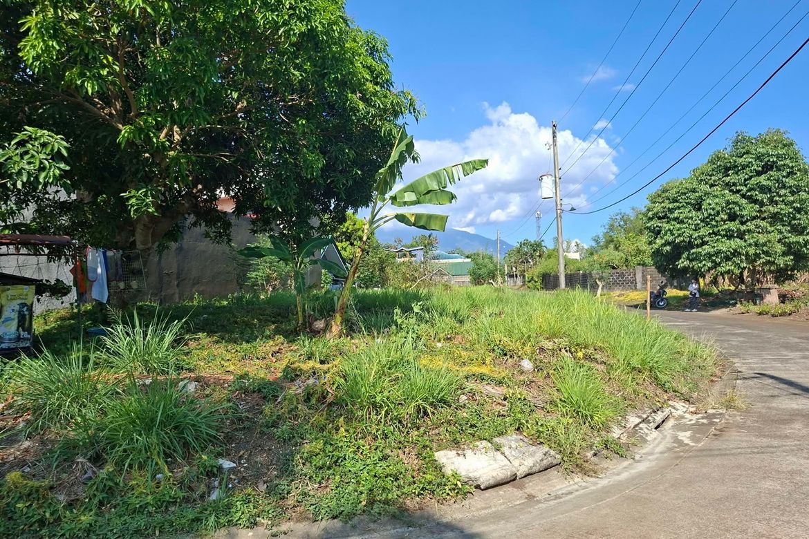 Land for Sale in Pacol, Naga, Camarines Sur – photo 4