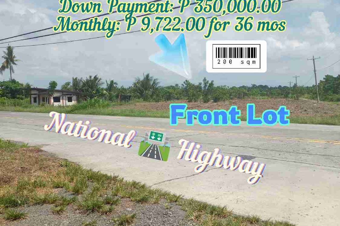 Land for Sale in Pag-Asa, Kapalong, Davao del Norte