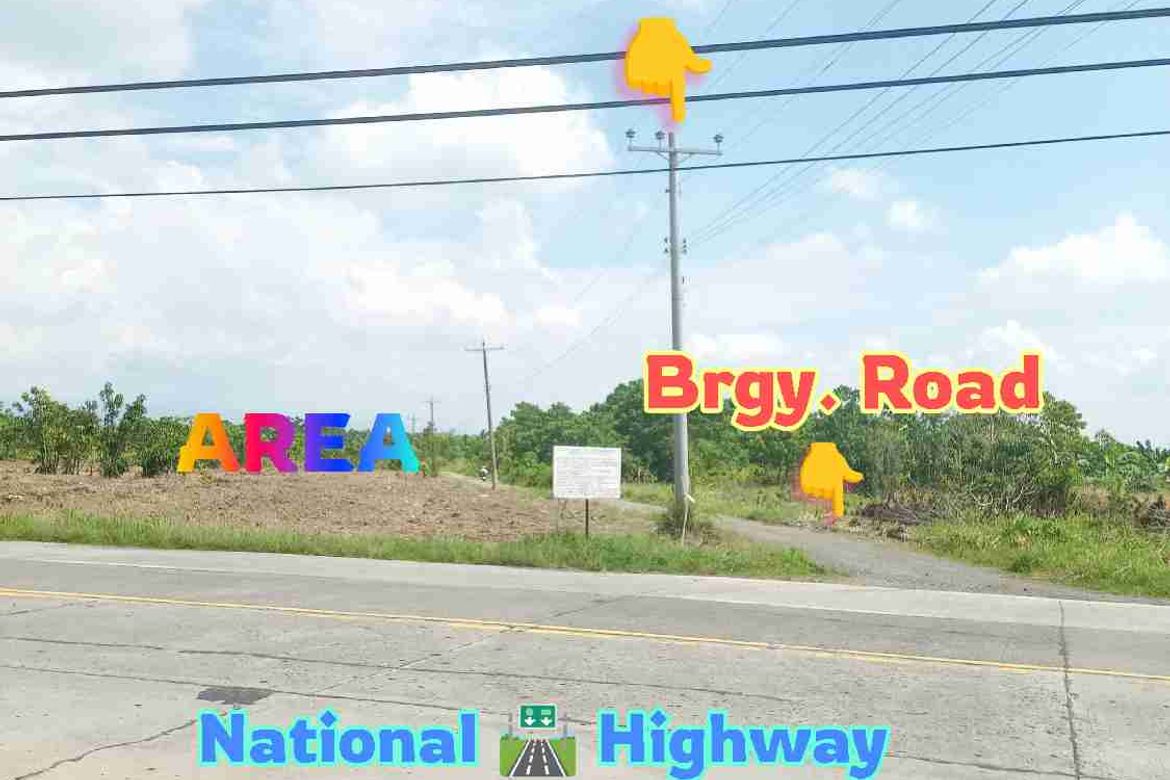 Land for Sale in Pag-Asa, Kapalong, Davao del Norte – photo 2