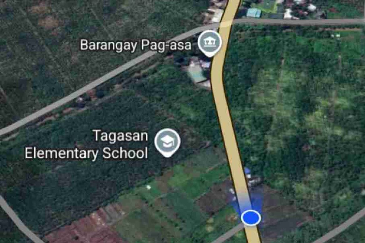 Land for Sale in Pag-Asa, Kapalong, Davao del Norte – photo 6