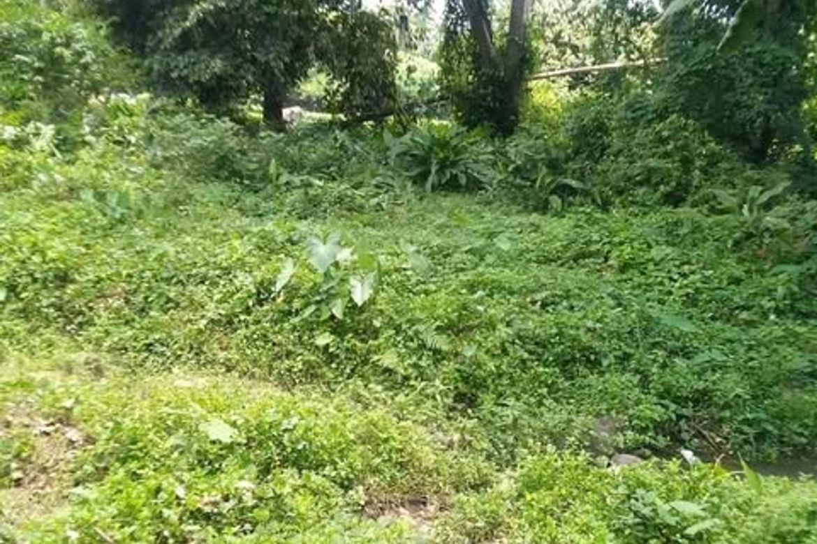 Land for Sale in Pag-Asa, Liliw, Laguna – photo 3