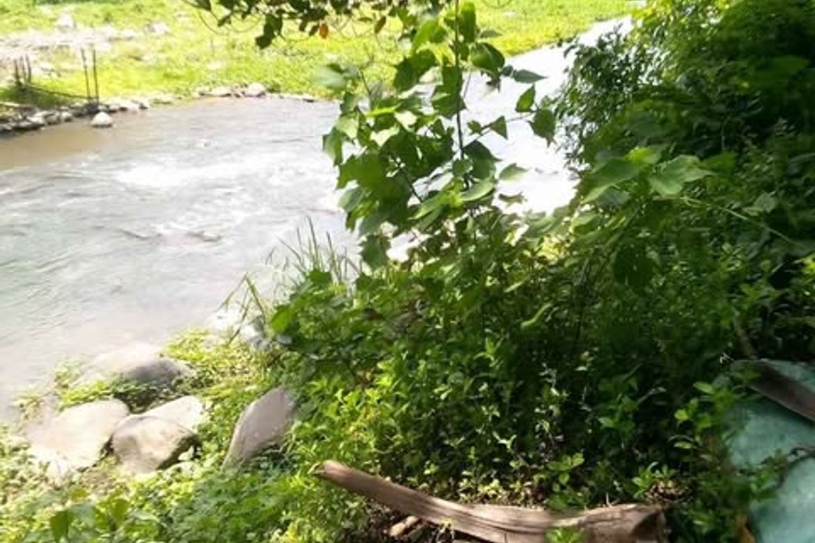 Land for Sale in Pag-Asa, Liliw, Laguna – photo 6
