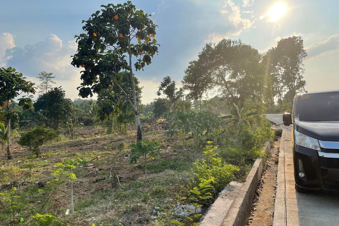 Land for Sale in Pag-Asa, Orani, Bataan – photo 7