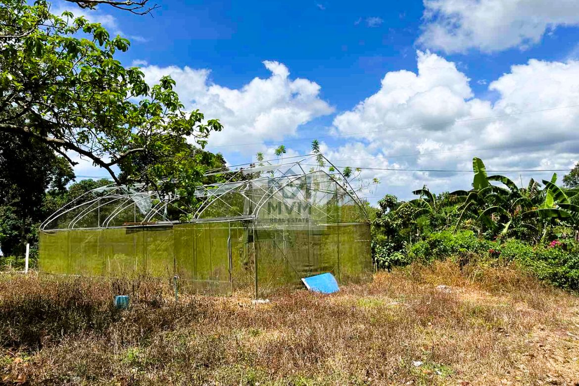 Land for Sale in Pag-Asa, Taysan, Batangas – photo 2