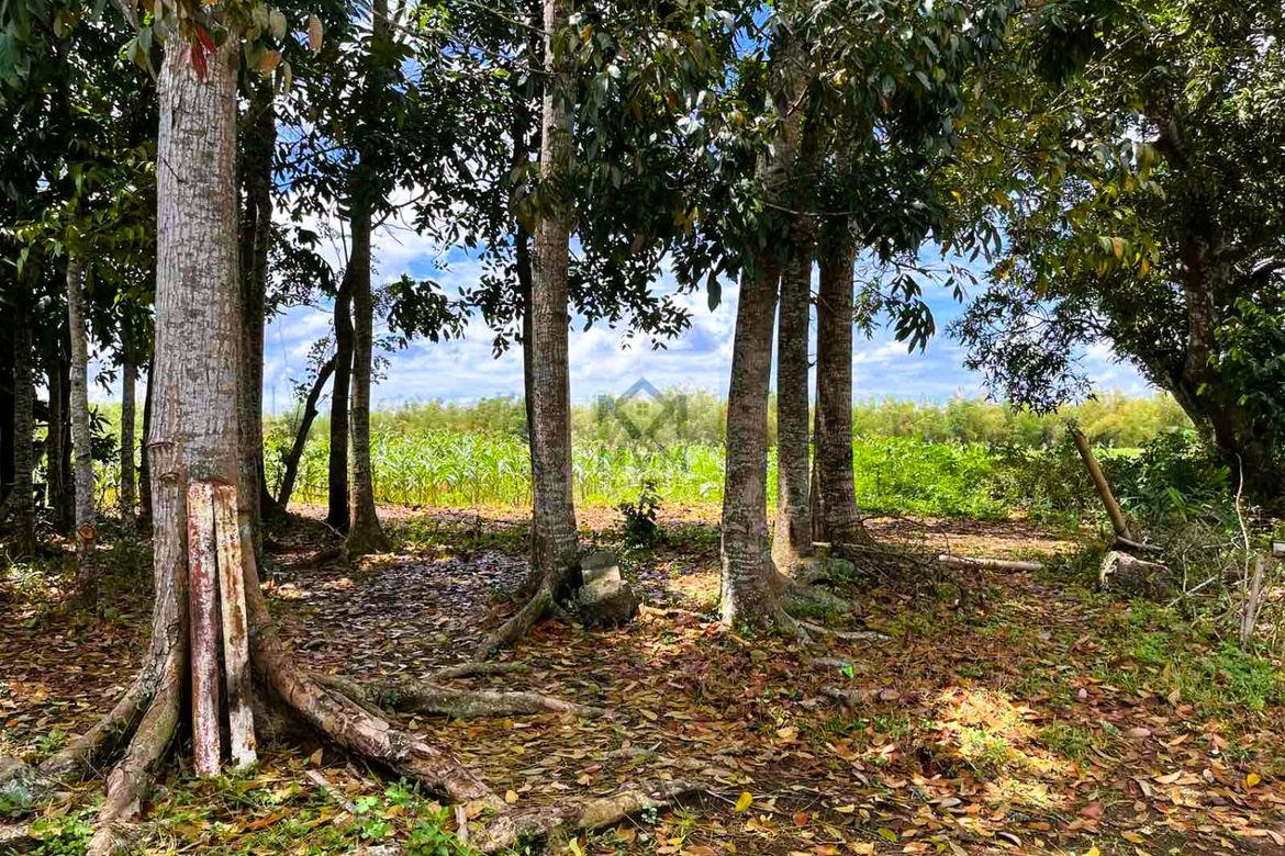Land for Sale in Pag-Asa, Taysan, Batangas – photo 3