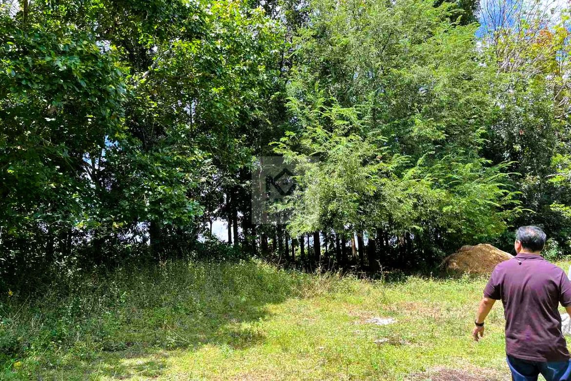 Land for Sale in Pag-Asa, Taysan, Batangas – photo 5