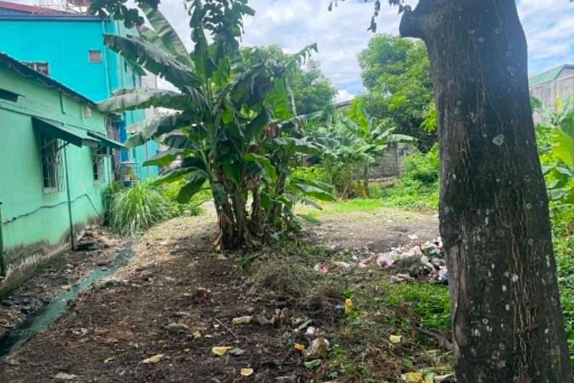 Land for Sale in Pagala, Baliuag, Bulacan