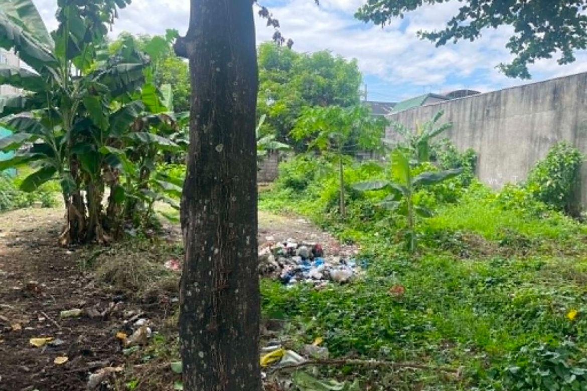 Land for Sale in Pagala, Baliuag, Bulacan – photo 2