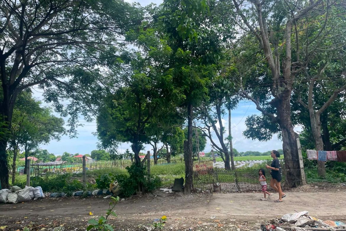Land for Sale in Pagala, Baliuag, Bulacan – photo 4