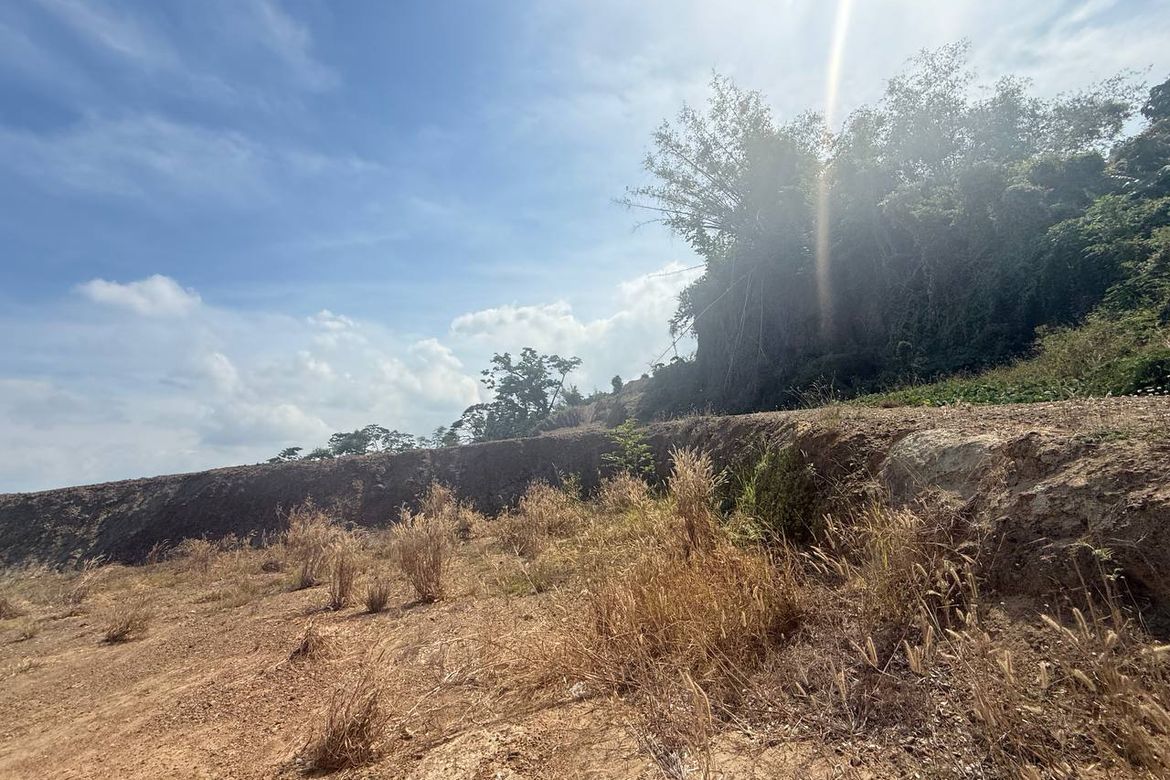 Land for Sale in Pagdaraoan, San Fernando, La Union – photo 5