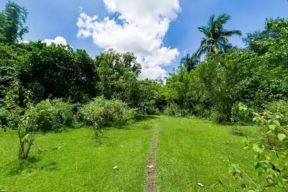 Land for Sale in Pagolingin Bata, Lipa, Batangas – photo 7