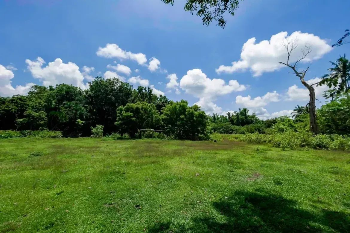 Land for Sale in Pagolingin Bata, Lipa, Batangas – photo 8