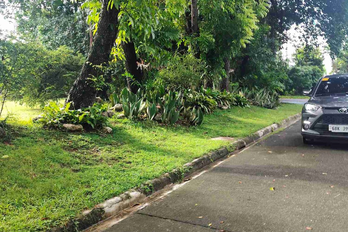 Land for Sale in Pagsabungan, Mandaue, Cebu – photo 2