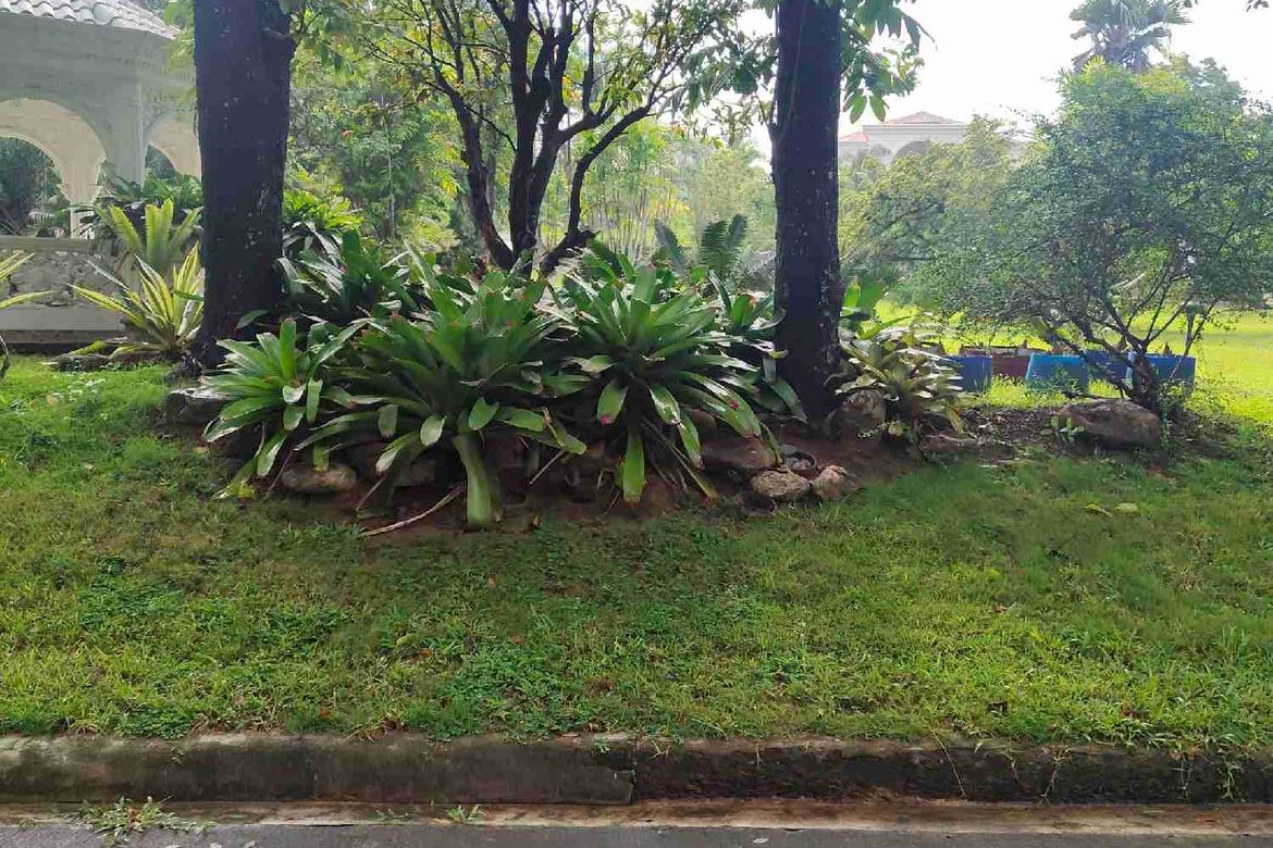 Land for Sale in Pagsabungan, Mandaue, Cebu – photo 5
