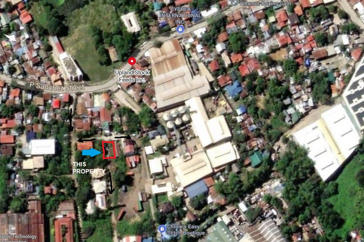 Land for Sale in Pagsabungan, Mandaue, Cebu – photo 2