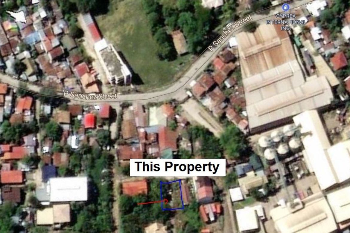 Land for Sale in Pagsabungan, Mandaue, Cebu – photo 3