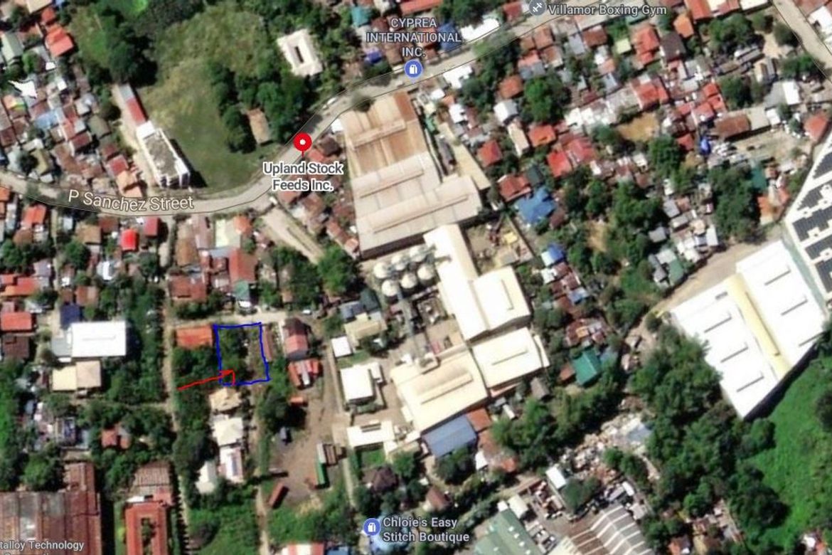 Land for Sale in Pagsabungan, Mandaue, Cebu – photo 4