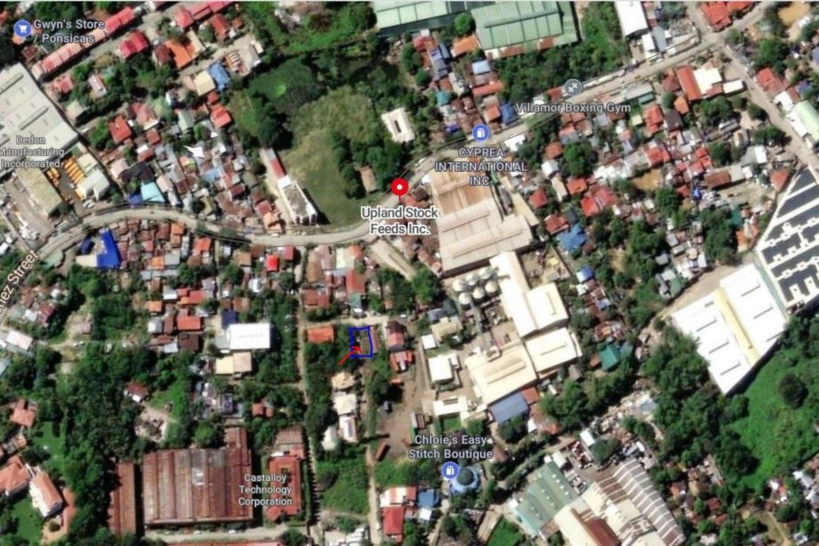 Land for Sale in Pagsabungan, Mandaue, Cebu – photo 5