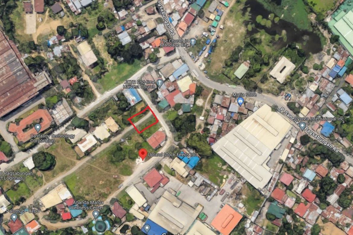 Land for Sale in Pagsabungan, Mandaue, Cebu – photo 6