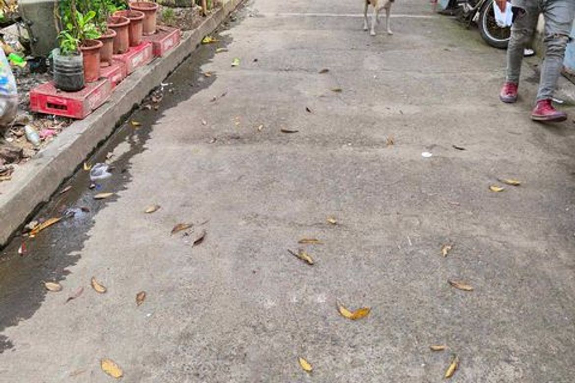 Land for Sale in Pagsabungan, Mandaue, Cebu – photo 6